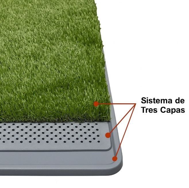 Baño para mascotas