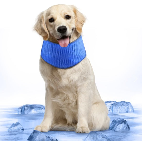 Bandana refrescante para mascotas