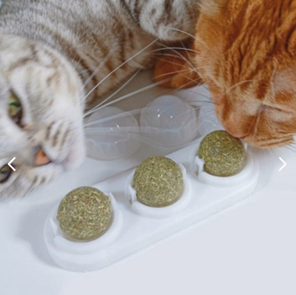 Catnip Para Gatos 3 unidades