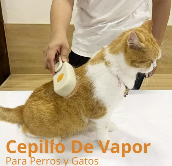 Cepillo a Vapor Recargable