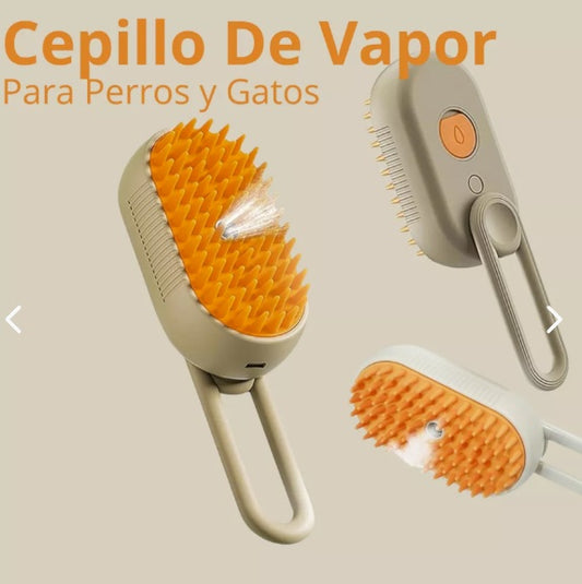 Cepillo a Vapor Recargable