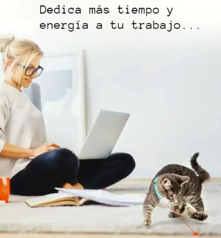Collar laser para gatos