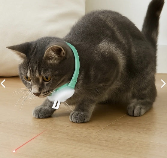 Collar laser para gatos
