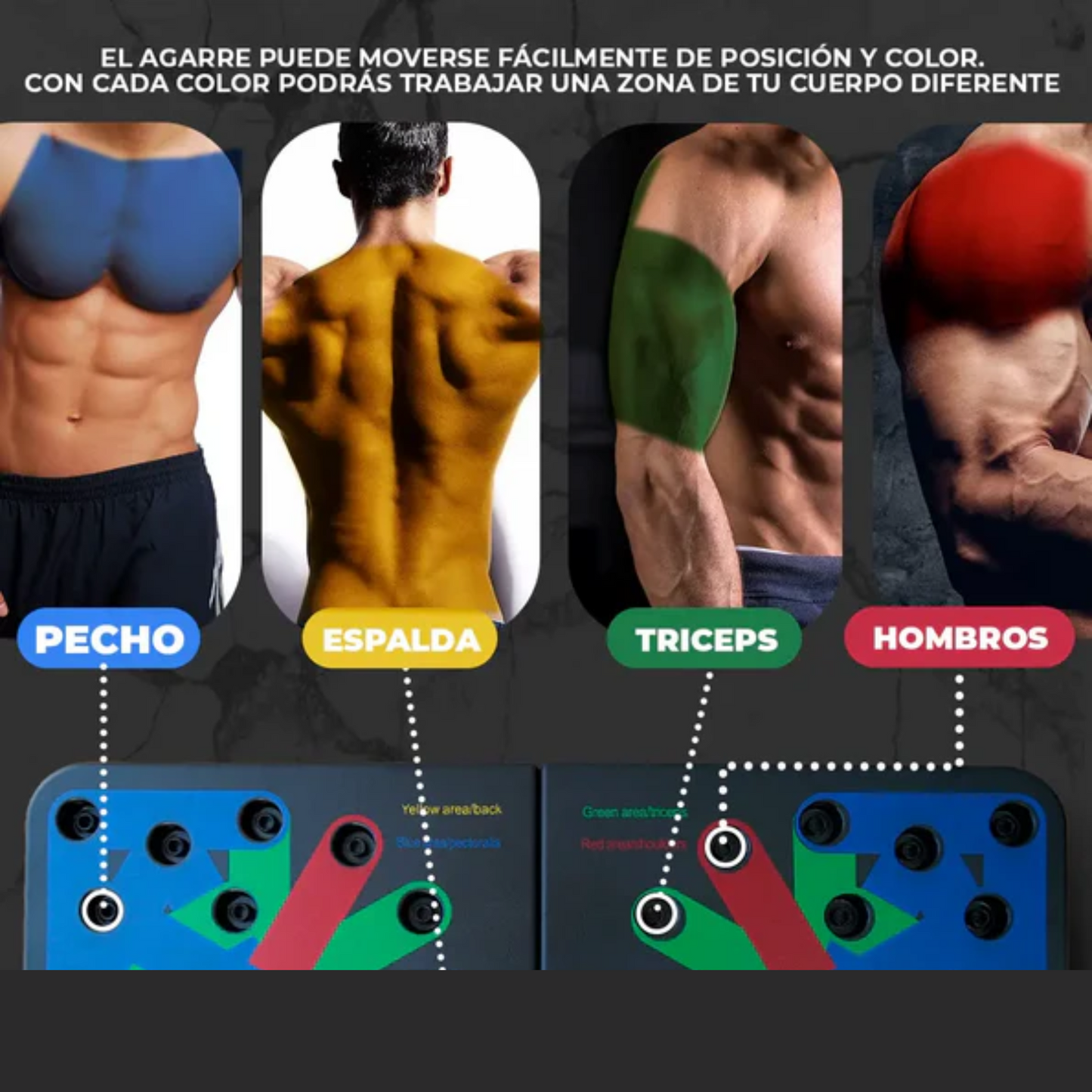 Tabla Para Flexiones Portatil