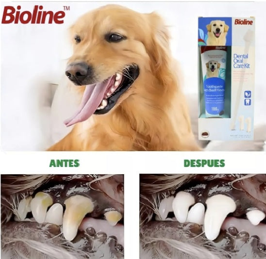 Set Cuidado Dental Bioline